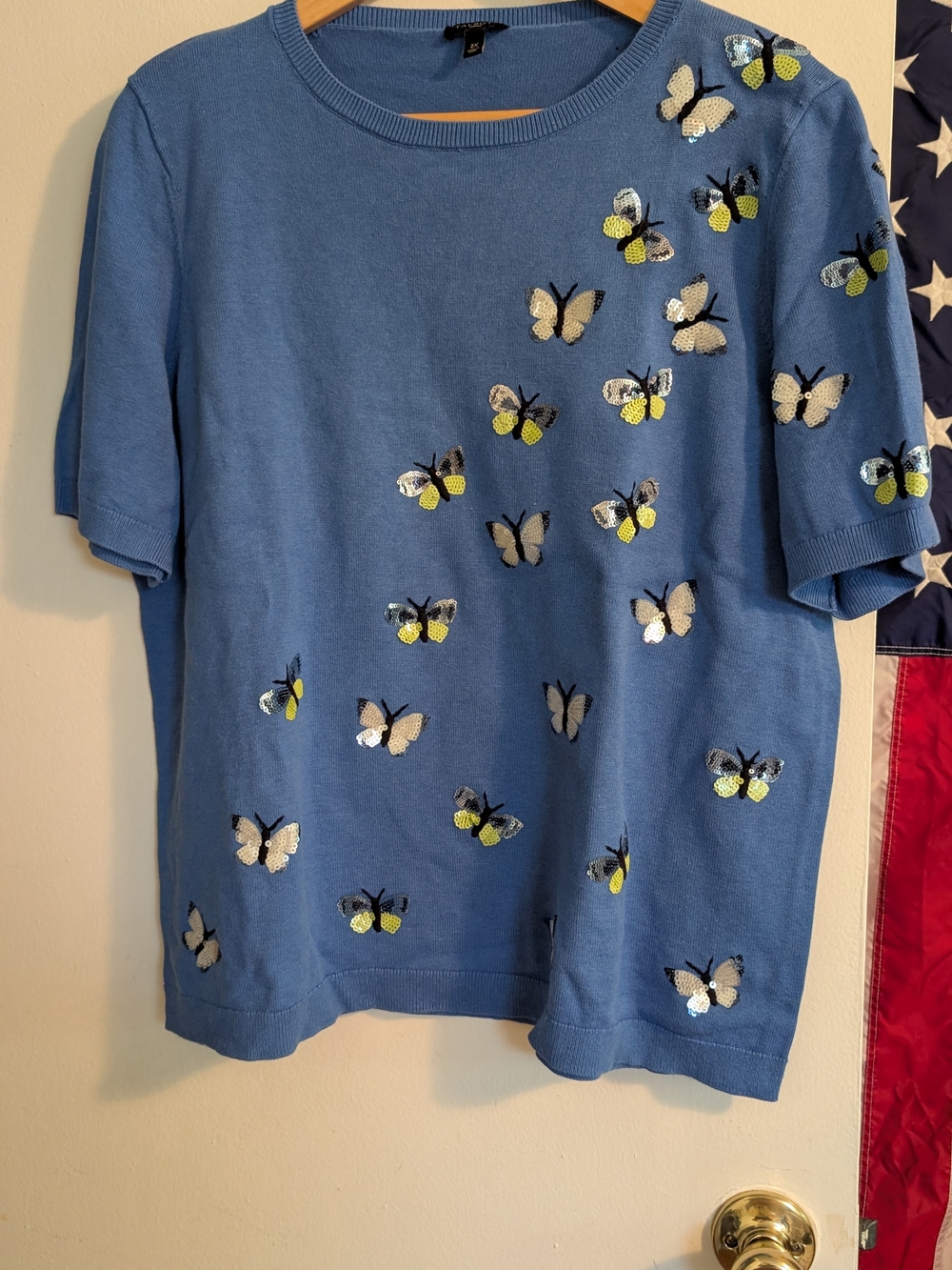 Talbots Blue Short-Sleeve Butterfly Embellished Tee Size 2X